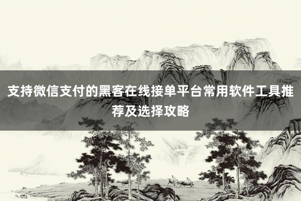 支持微信支付的黑客在线接单平台常用软件工具推荐及选择攻略