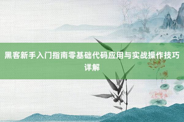 黑客新手入门指南零基础代码应用与实战操作技巧详解